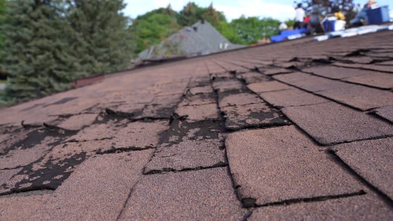 Best Cold Roofs  in King Arthur Park, MT