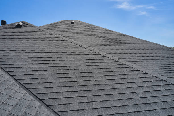 Best Roof Maintenance and Cleaning  in King Arthur Park, MT
