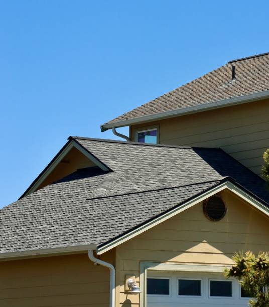 Best Roof Moss and Algae Removal  in King Arthur Park, MT